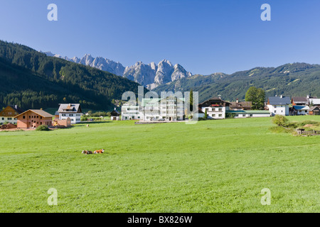 Alpine Ackerland im Sommer, Österreich Stockfoto