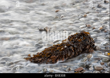 Schöne Kunst Bilder durch eine lange Belichtungszeit der Wellen über Kies und Felsen auf einem schottischen Strand erstellt Stockfoto