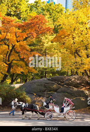 Autumn colors in Central Park in New York City. Stockfoto