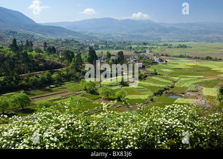 Dorf und Landwirtschaft in Shaxi Tal, Jiangsu, China Stockfoto