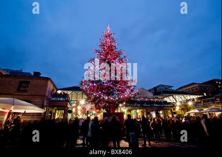 Weihnachtsbaum mit Apfelmarkt, Covent Garden, Weihnachten 2010, London, Vereinigtes Königreich Stockfoto