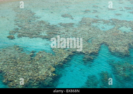 Korallenriff im Roten Meer in Eilat Israel Stockfoto