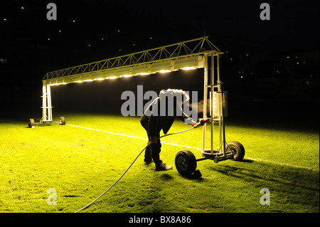 Bodenpersonals mit UV-Beleuchtung, das Gras wachsen während der Nacht im winter Stockfoto