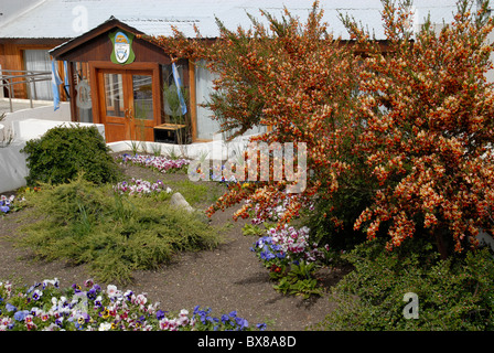 Garten von der Municipalidad de Ushuaia im zeitigen Frühjahr, Ushuaia, Feuerland, Argentinien Stockfoto