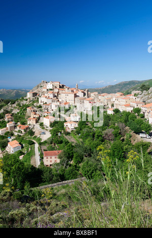 Hilltop Village Speloncato, Balagne, Korsika, Frankreich Stockfoto