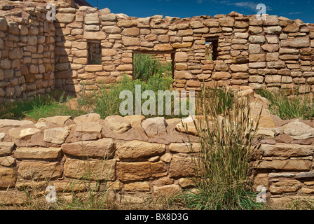 Lowry Pueblo Anasazi Ruinen, an Schluchten der alten National Monument, Colorado, USA Stockfoto