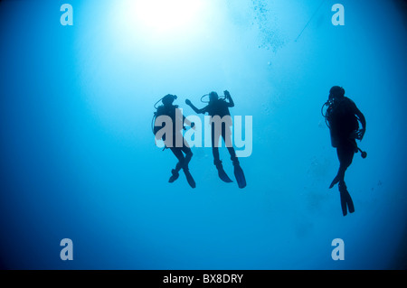 Taucher im Wasser fotografiert im Nationalpark Ras Mohammed, Rotes Meer, Sinai, Ägypten, Stockfoto