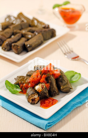 Dolmades. Weinblätter gefüllt mit Reis und Tofu. Rezept zur Verfügung. Stockfoto