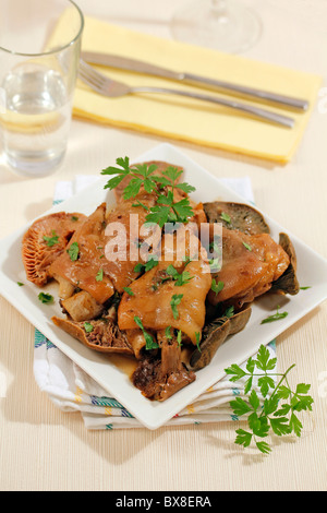 Schwein Traber mit Pilzen. Rezept zur Verfügung. Stockfoto