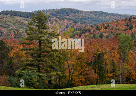 Herbst-Farbe auf dem Sugar Hill in Grafton County, New Hampshire Stockfoto