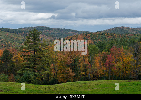 Herbst-Farbe auf dem Sugar Hill in Grafton County, New Hampshire Stockfoto