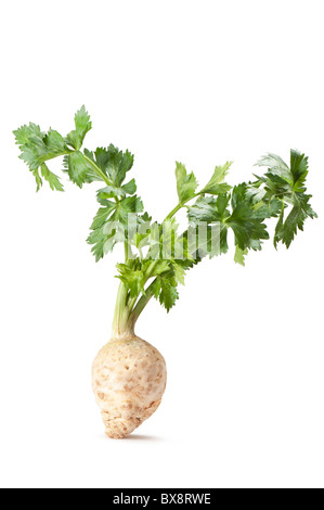 Sellerie auf weißem Hintergrund Stockfoto