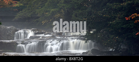 Herbst-Farbe am Fluss Wildkatze im Bereich Jackson fällt der Carroll County, New Hampshire Stockfoto