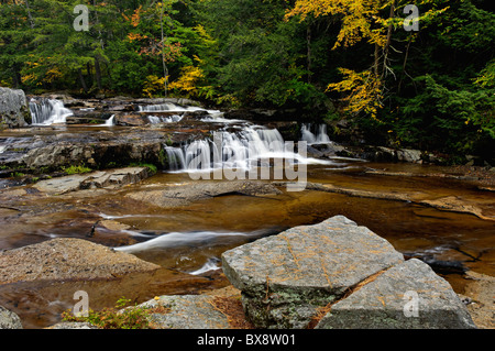 Reihe von Kaskaden und Herbst Farbe am Fluss Wildkatze bei Jackson fällt im Carroll County, New Hampshire Stockfoto