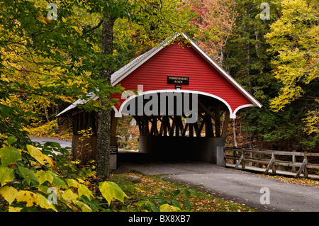Flume Gorge Covered Bridge und Herbst Farbe im Franconia Notch State Park in Grafton County, New Hampshire Stockfoto