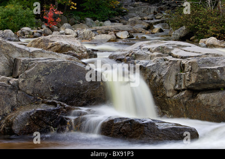 Teil der Lower Falls am Fluss Swift mit Herbst Farbe in den White Mountains National Forest in New Hampshire Stockfoto