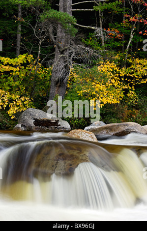 Teil der Lower Falls am Fluss Swift mit Herbst Farbe in den White Mountains National Forest in New Hampshire Stockfoto