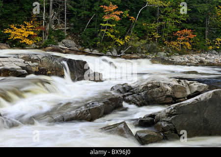 Teil der Lower Falls am Fluss Swift mit Herbst Farbe in den White Mountains National Forest in New Hampshire Stockfoto