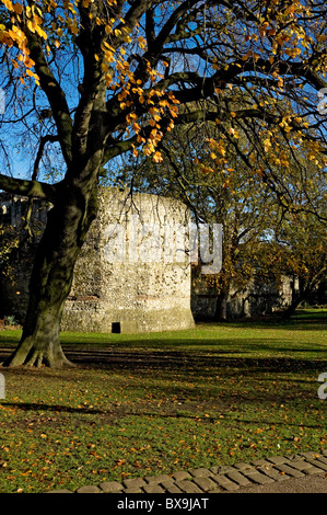 Multangular Turm im Herbst Museum Gärten York North Yorkshire England UK United Kingdom GB Great Britain Stockfoto