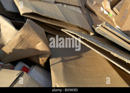 Karton in einen Müllcontainer Peterborough recycling Zentrum Cambridgeshire UK Stockfoto