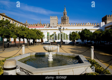 Sevilla, Dom, Patio De Las Banderas Stockfoto