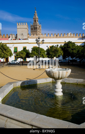 Sevilla, Dom Patio De Las Banderas Stockfoto