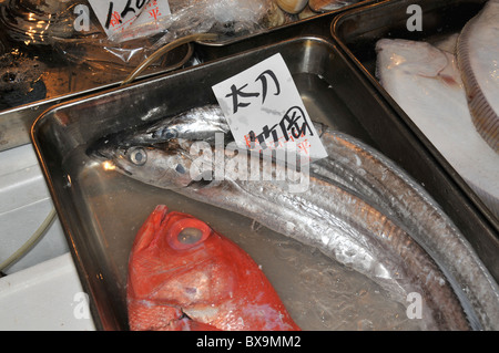 frische Fische, Tsukiji Fish Market, Tokyo, Japan Stockfoto