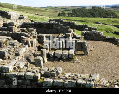 Allgemeine Ansicht Osten über einen Teil der Ruinen von Housesteads Roman Fort, Hadrian's Wall, Northumberland, England, UK. Stockfoto