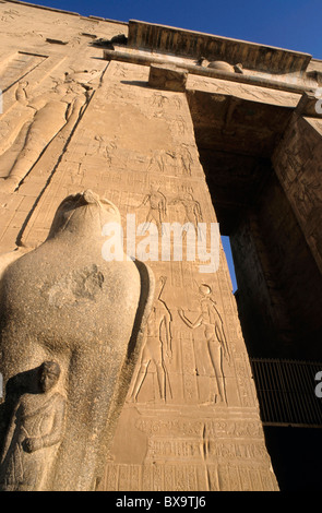 Statue des alten ägyptischen Gottes Horus vor den ersten Pylon am Tempel von Edfu, Edfu, Ägypten. Stockfoto