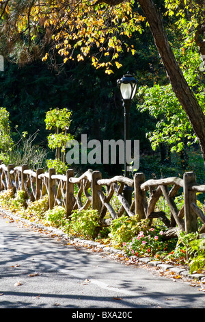 Split-Zaun, zu Fuß Weg, Central Park, Herbst NYC Stockfoto