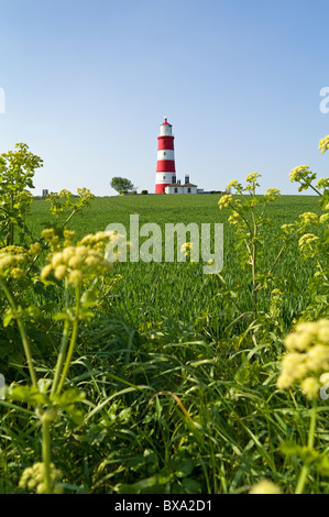 Happisburgh Leuchtturm Norfolk England UK mit Alexanders im Vordergrund Stockfoto