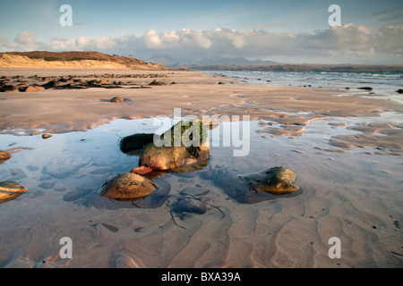 Ebbe am Caolas Beag, einem großen Sandstrand in der Nähe von Gairloch im Westen von Schottland, Großbritannien. Stockfoto