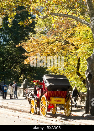 Kutsche fahren, Central Park, New York Stockfoto