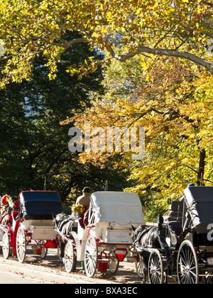 Kutsche fahren, Central Park, New York Stockfoto