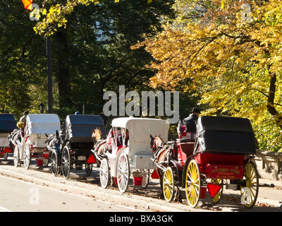 Kutsche fahren, Central Park, New York Stockfoto