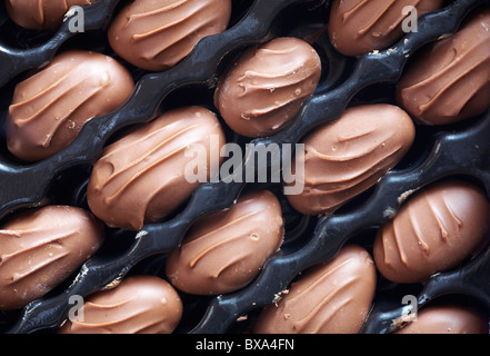 Marks und Spencer Milchschokolade überzogen Paranüsse in box Stockfoto