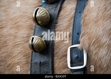 Nahaufnahme der Glöckchen auf dem Rücken eines Pferdes. Stockfoto