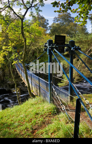 Die 1830 Wynch Brücke über den Fluss Tees in der Nähe von Low Force Wasserfall, Teesdale, County Durham Stockfoto