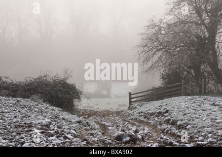 Querformat eines walisischen Bauern ist gefroren Einfrieren Nebel, schlammigen Feld und Schafe darüber hinaus in Stockfoto