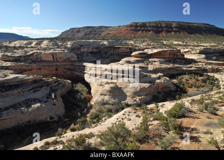 Kachina-Brücke in Utah Stockfoto