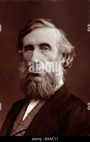 Porträt des irischen Physikers John Tyndall (1820-1893). Albumen Drucken oder fotografieren c1880. Stockfoto