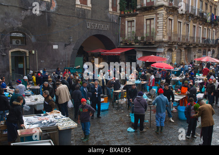 La Pescheria die Meeresfrüchte-Markt zentral Catania-Sizilien-Italien-Europa Stockfoto