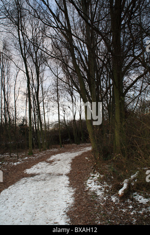 Winter Park Szenen Nottingham England Stockfoto