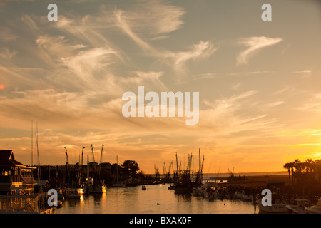 Sonnenuntergang über dem Krabbenkutter auf Shem Creek in Mt. Pleasant, SC Stockfoto