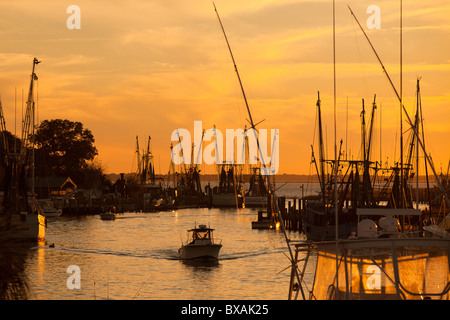 Sonnenuntergang über dem Krabbenkutter auf Shem Creek in Mt. Pleasant, SC Stockfoto