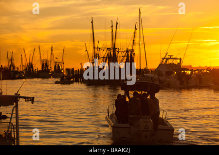 Sonnenuntergang über dem Krabbenkutter auf Shem Creek in Mt. Pleasant, SC Stockfoto