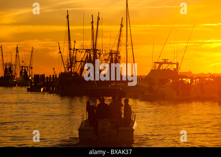 Sonnenuntergang über dem Krabbenkutter auf Shem Creek in Mt. Pleasant, SC Stockfoto