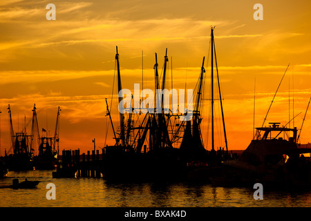 Sonnenuntergang über dem Krabbenkutter auf Shem Creek in Mt. Pleasant, SC Stockfoto