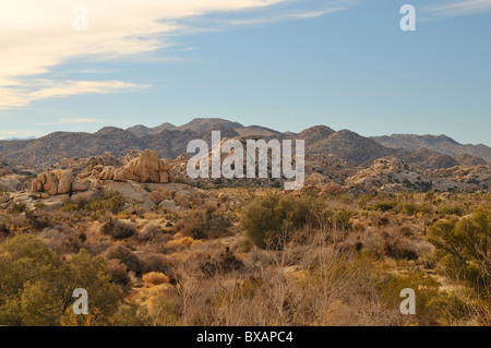 Barker Dam Trail Loop Stockfoto