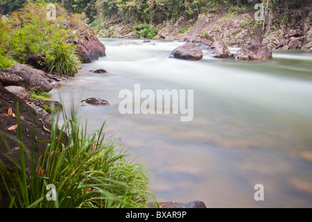 Wildwasser am Tully River, Tully, Far North Queensland Stockfoto